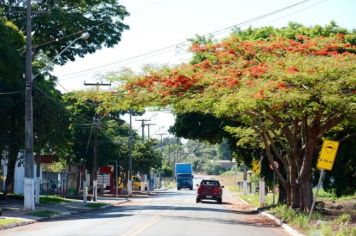 Foto - Nossa Cidade