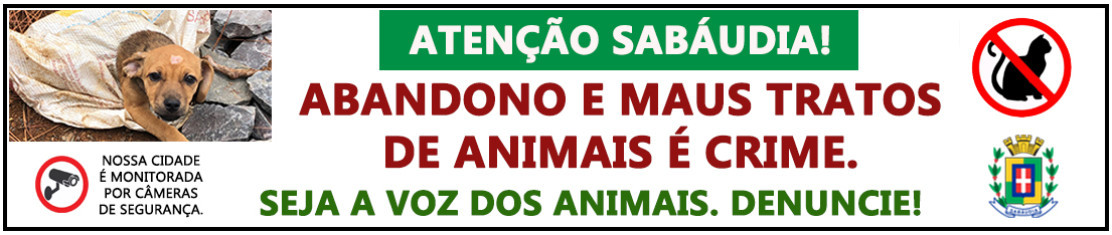 abandono animais