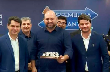 POLO MOVELEIRO