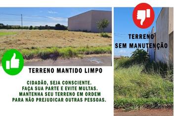 Saiba porque manter os terrenos limpos e roçados é importante