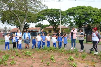 SAÚDE E EDUCAÇÃO