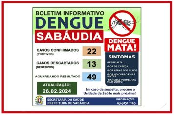 ALERTA DENGUE