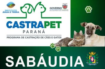 PREFEITURA DE SABÁUDIA LICITA RAÇÃO E MICROCHIPAGEM PARA CÃES E GATOS