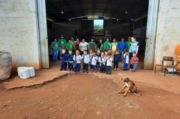 5 DE JUNHO - DIA MUNDIAL DO MEIO AMBIENTE