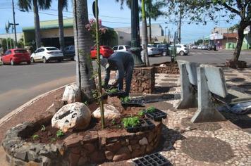 Seisuma realiza plantio de mudas de flores na cidade