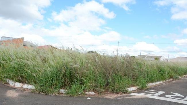 Seisuma inicia roçagem de terrenos em Sabáudia
