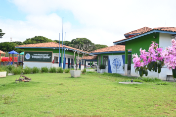Foto - ESCOLAS 